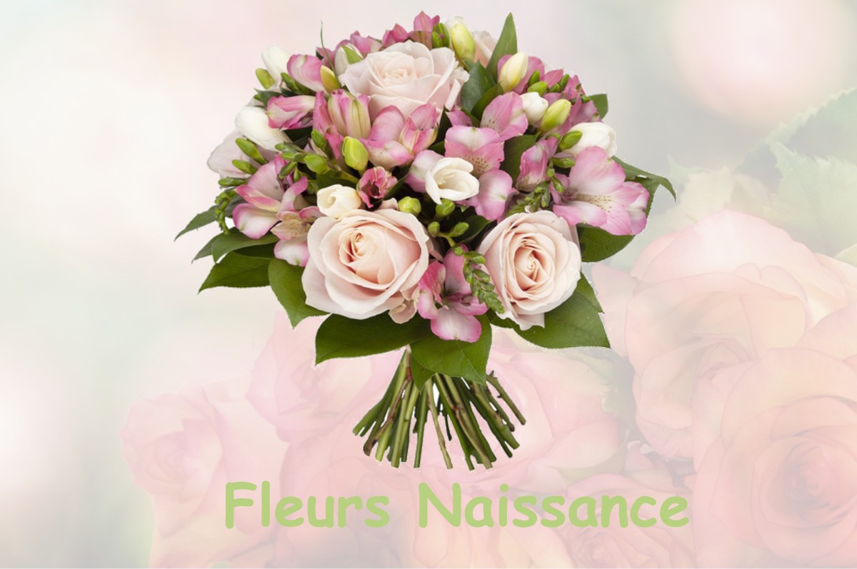 fleurs naissance LA-CROIX-SUR-OURCQ
